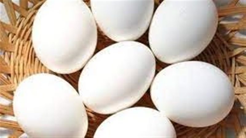 تفسير رؤية البيض