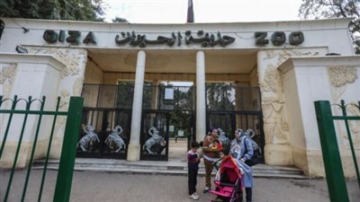 عقب موافقة مجلس الوزراء، بدء تنفيذ مخطط تطوير حديقتي الحيوان والأورمان