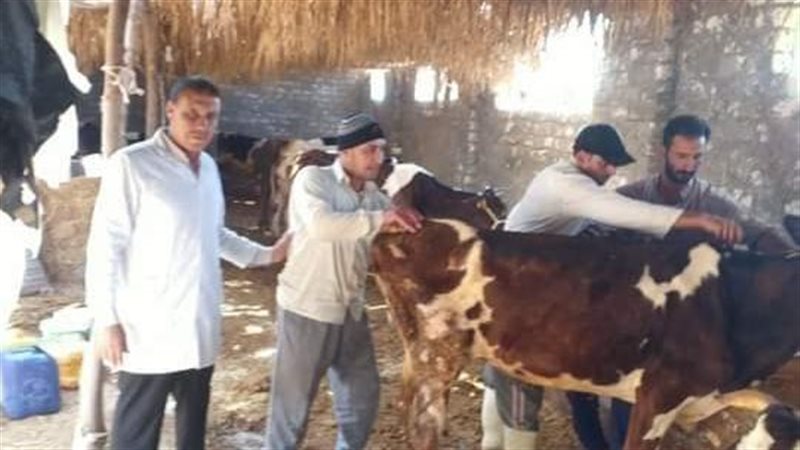 بيطري الشرقية، فيتو