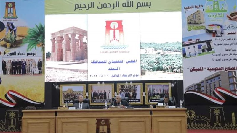 مجلس تنفيذي الوادي