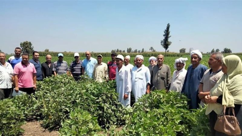 زراعة الشرقية:مدرسة