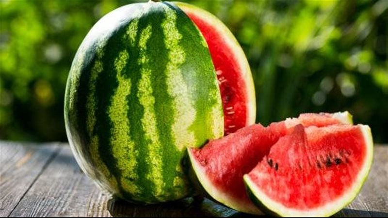 بيع أجزاء البطيخ،
