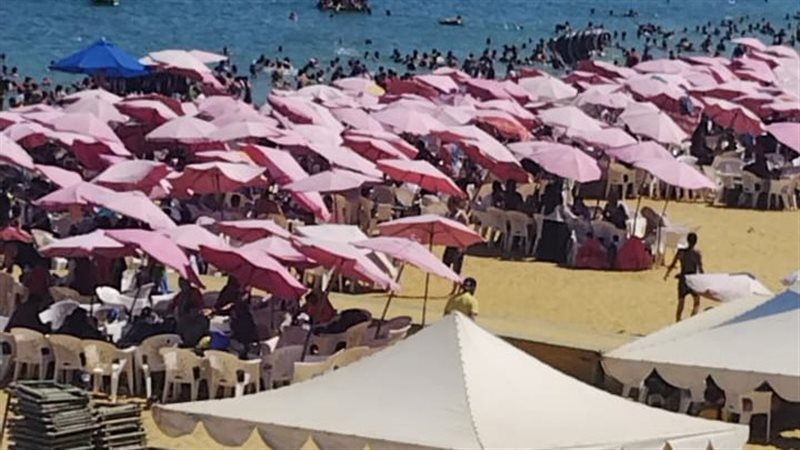 الإسكندرية , فيتو