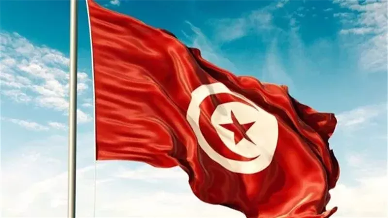 تونس، فيتو 