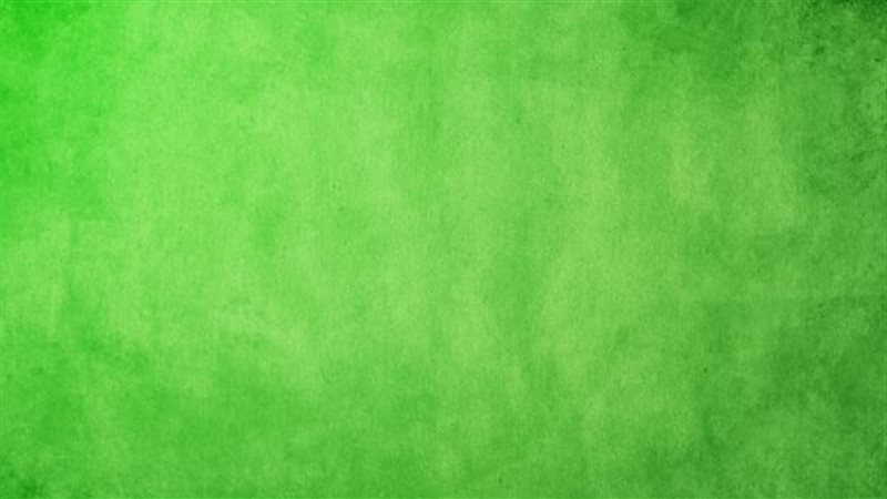 حلم اللون الأخضر،فيتو