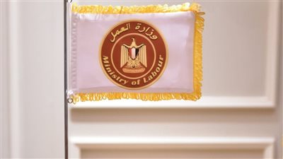 وزارة العمل: دورات تدريب شباب المنيا على 4 مهن يحتاجها سوق العمل