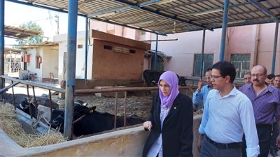 القائم بأعمال رئيس جامعة بنها يتفقد المزارع الإنتاجية