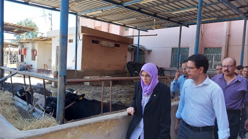 جامعة بنها، فيتو