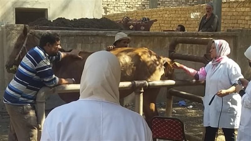 نظمت مديرية الطب