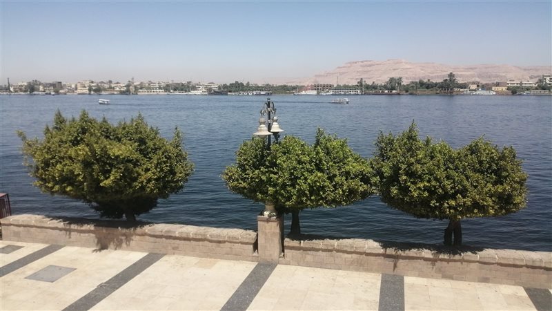 محافظة الأقصر، فيتو