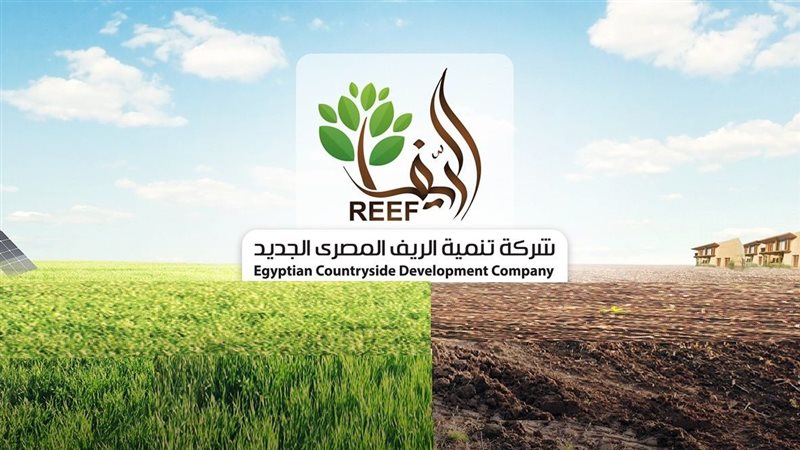 شركة تنمية الريف