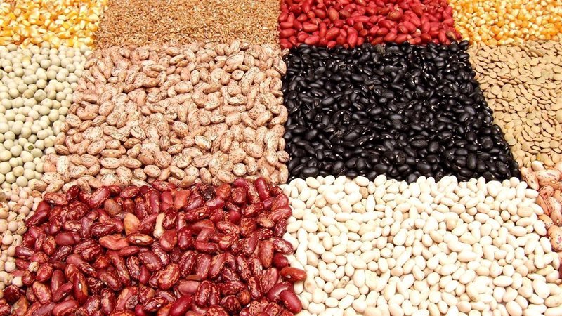 البقوليات اليوم،