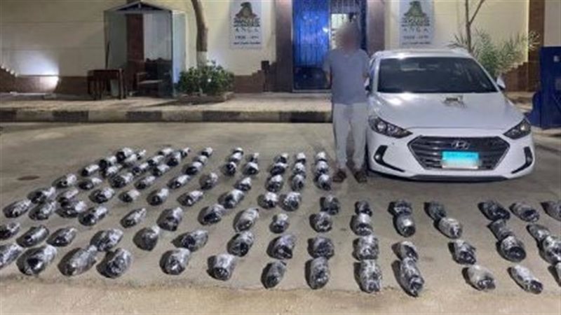 مخدرات المضبوطات،فيتو