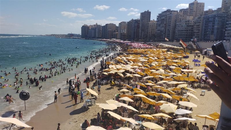 شواطئ الإسكندرية