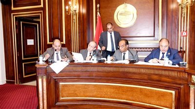 صحة الشيوخ تطالب بتوفير كافة المستلزمات الطبية لتسهيل علاج المرضى