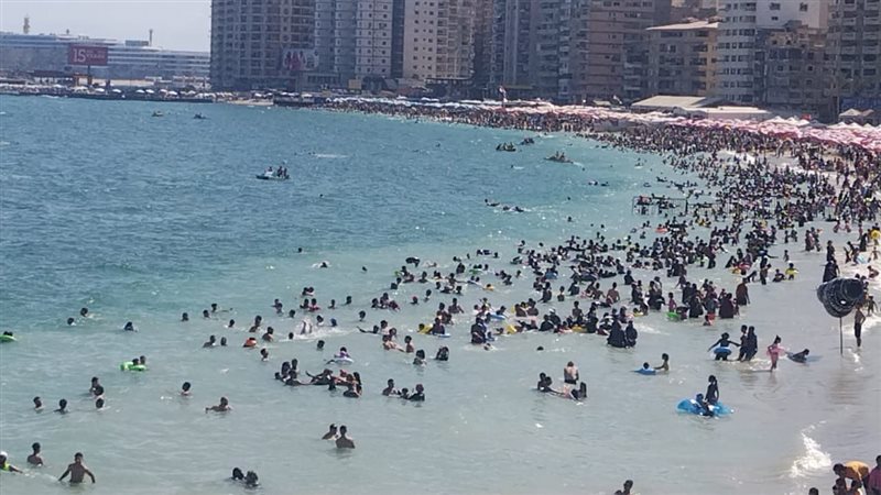 شواطئ الإسكندرية