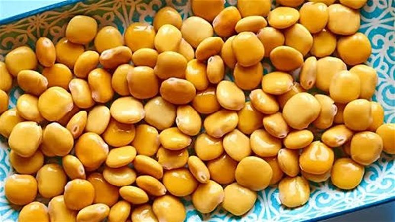 فوائد الترمس، فيتو
