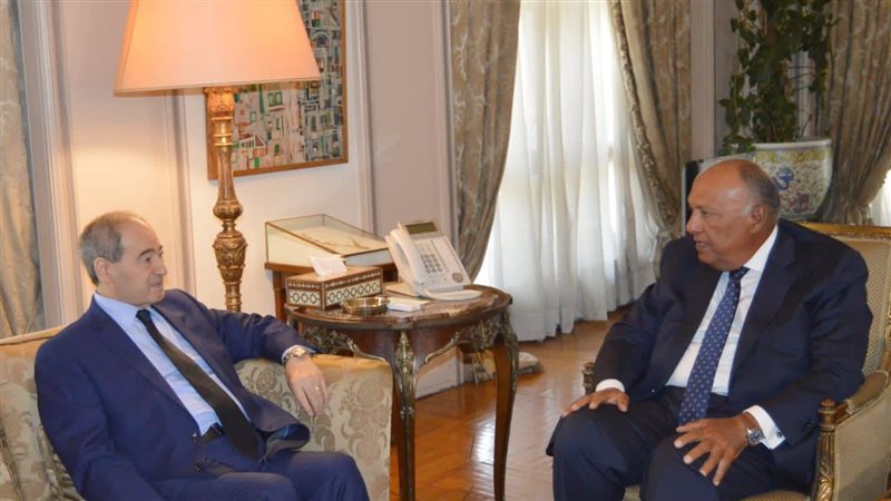 سامح شكري وزير الخارجية