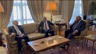 متحدث الخارجية يوثق اجتماع لجنة الاتصال العربية بشأن سوريا (فيديو) 
