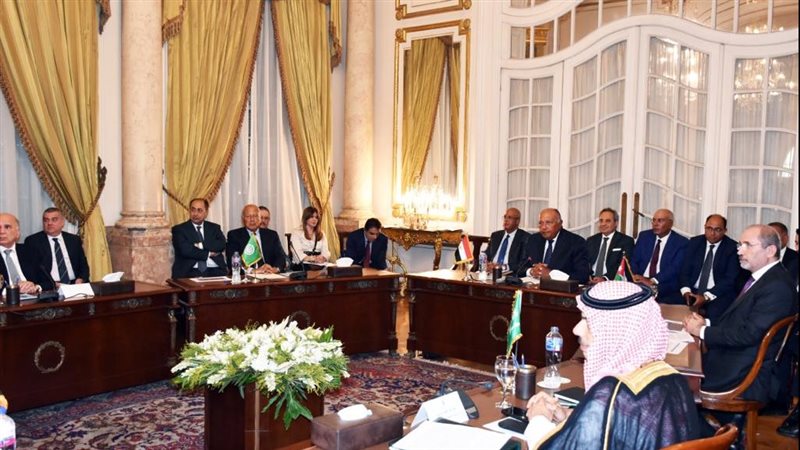 أبو الغيط يشارك فى