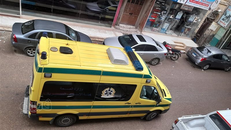 مذبحة الوراق، فيتو