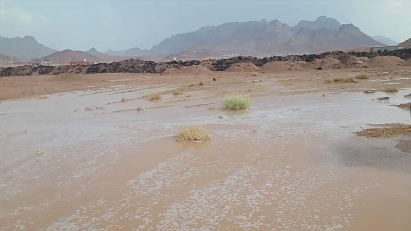 حالة الطقس، فيتو