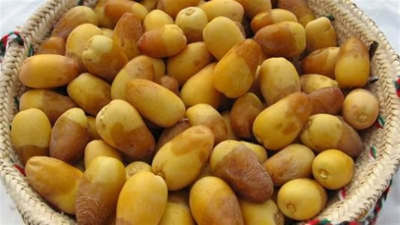 البلح، فيتو