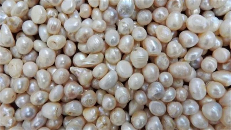 تفسير رؤية اللؤلؤ
