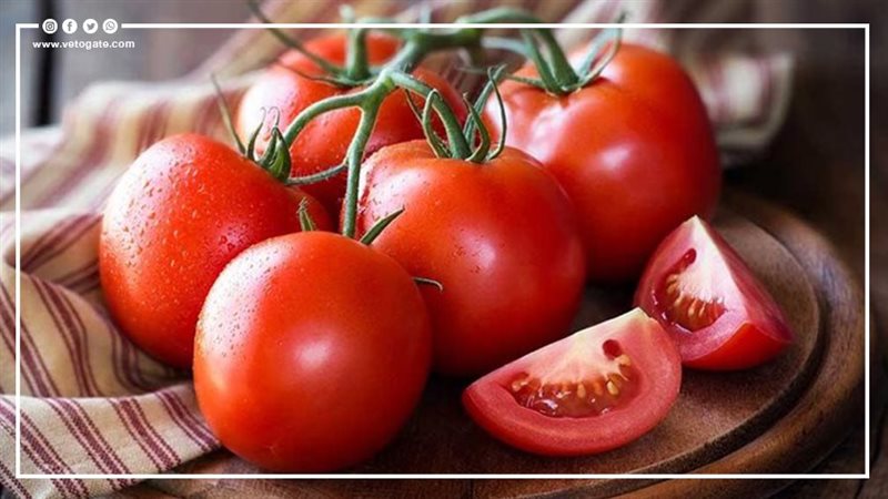 فوائد وأضرار الطماطم،