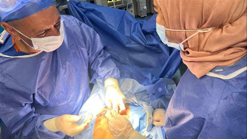 بنها الجامعي، فيتو