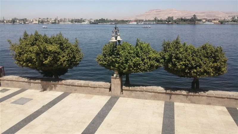 محافظة الأقصر،فيتو