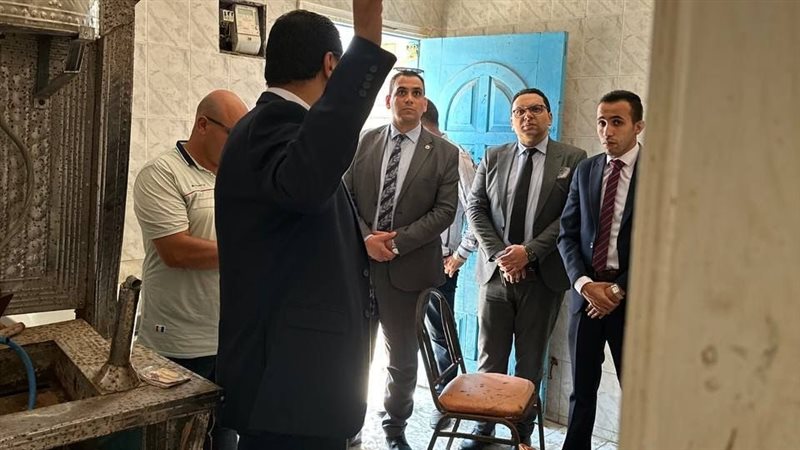 النيابة الإدارية،فيتو