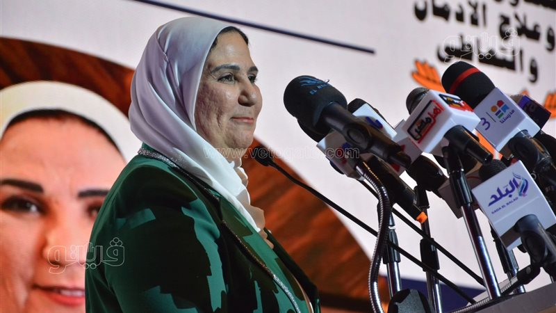 نيفين القباج, فيتو