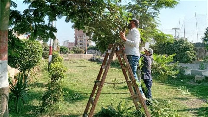 نشاط مكثف لاعمال