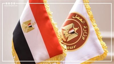 وزارة العمل: وفرنا 28 ألف وظيفة للخريجين 