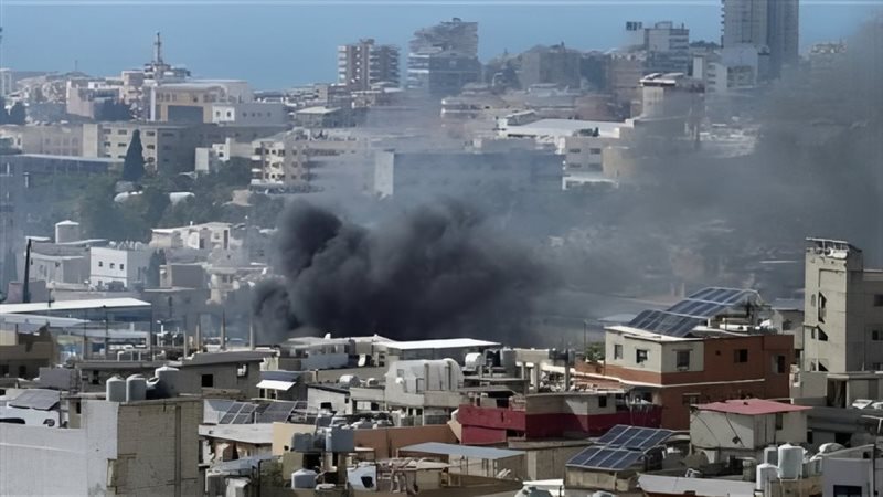 عين الحلوة، فيتو
