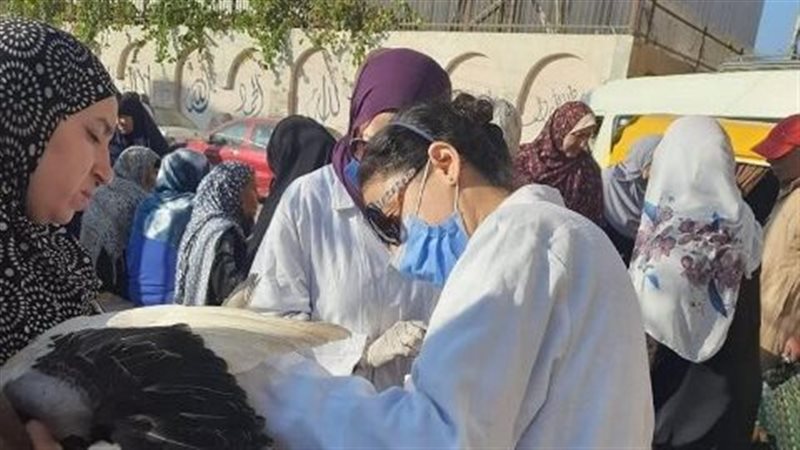 بيطرى الشرقية،فيتو