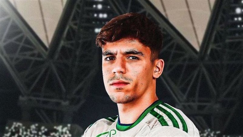 فيجا،فيتو
