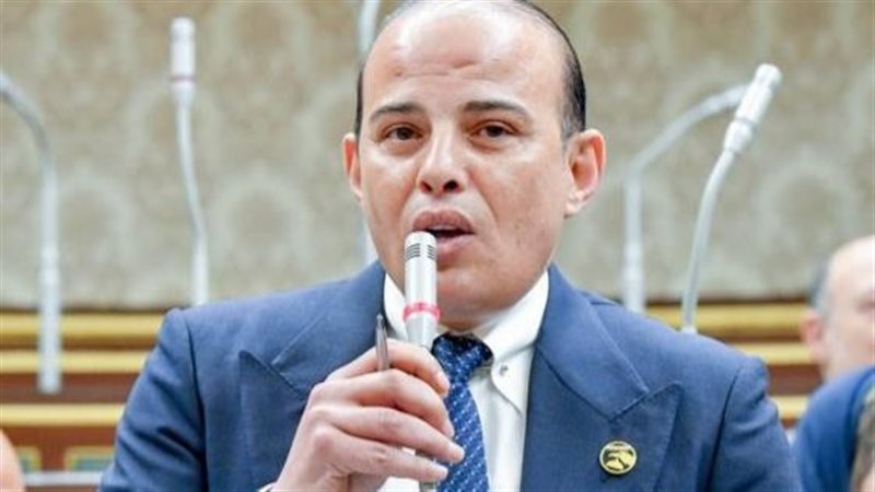 النائب عمرو القطامى،فيتو