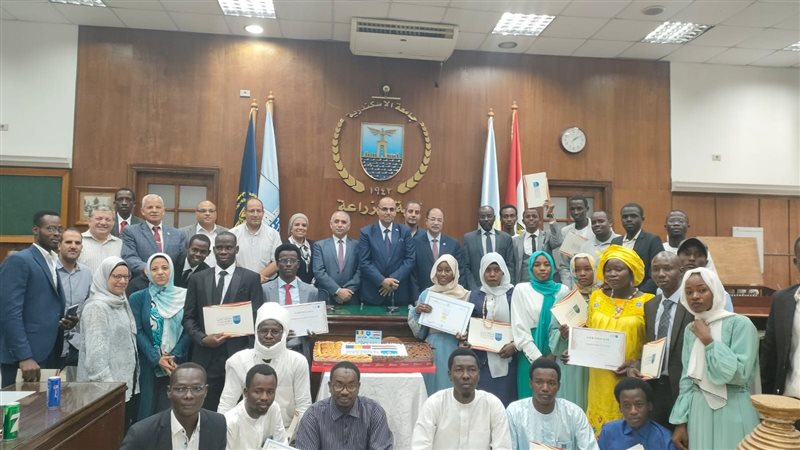 جامعة الإسكندرية،