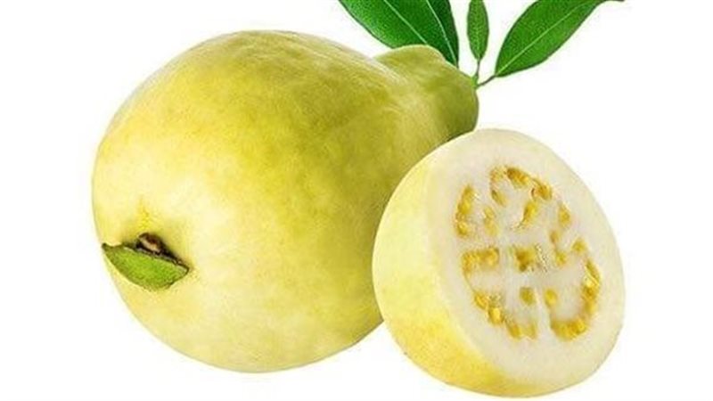 فوائد الجوافة، فيتو
