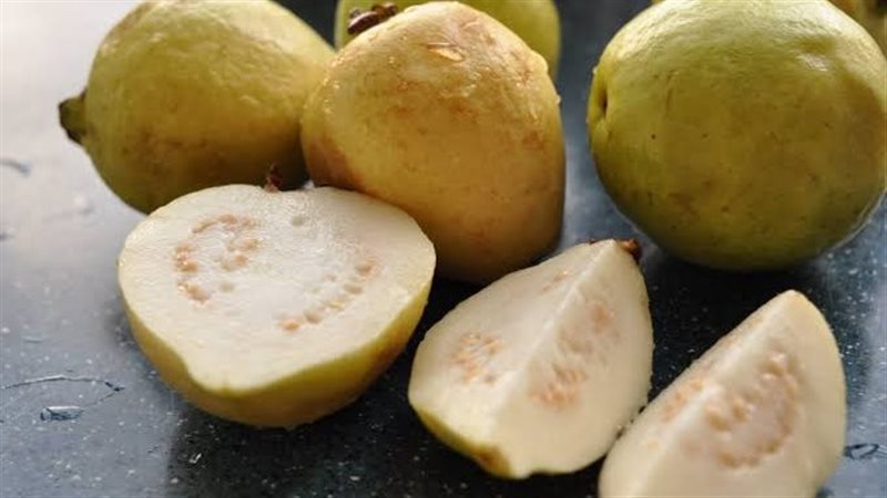 الجوافة وفوائدها