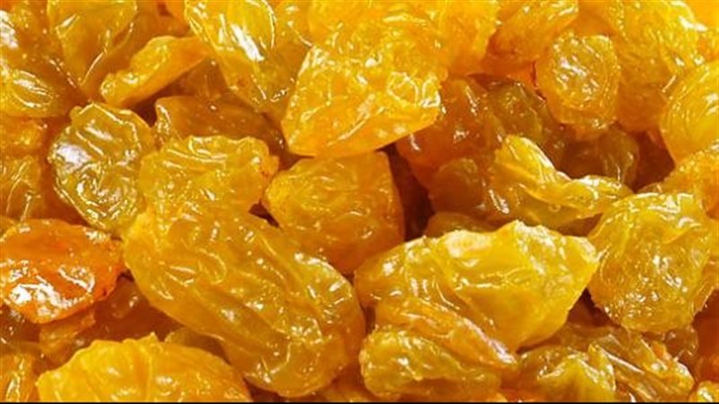 الزبيب، فيتو