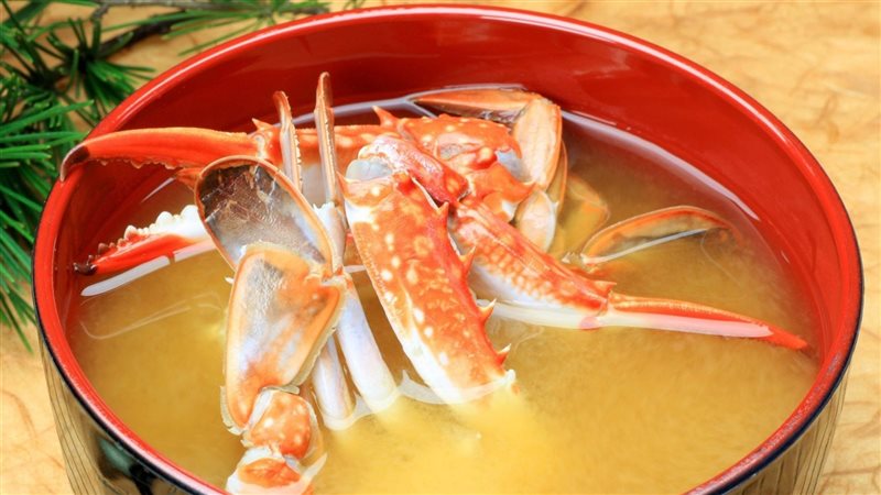 شوربة الكابوريا،