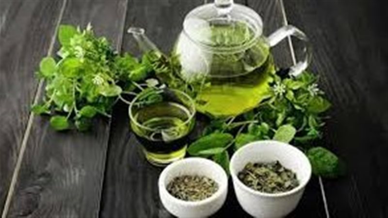 فوائد الشاي الأخضر،
