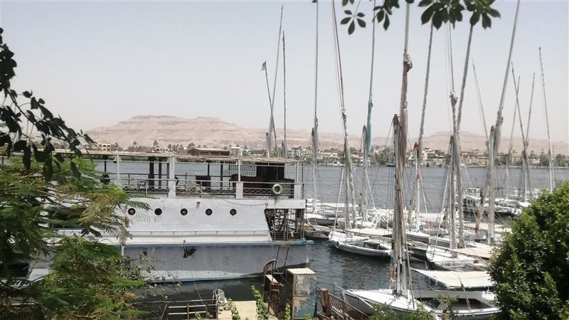 محافظة الأقصر، فيتو