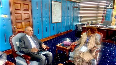 وزير الري يلتقى وزيرة المياه الكينية لمناقشة تعزيز التعاون بين البلدين 