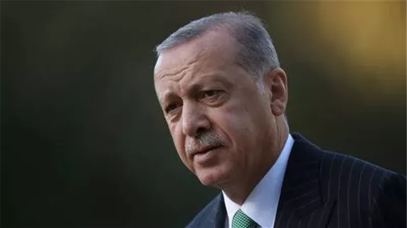 أردوغان، فيتو 