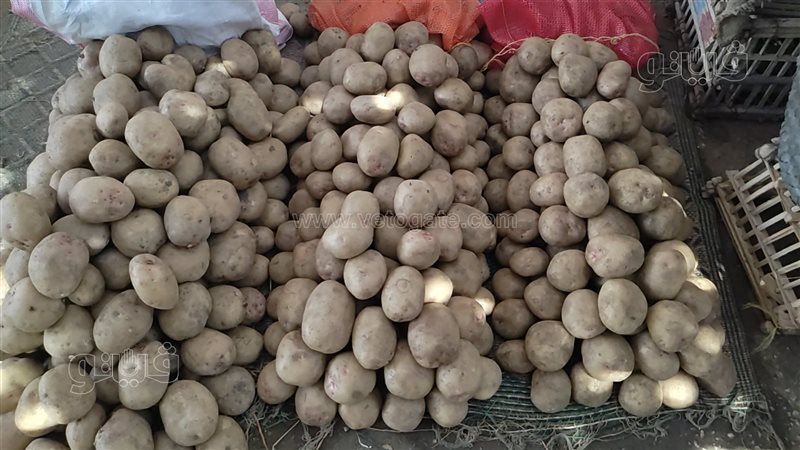 أسعار الخضراوات اليوم،
