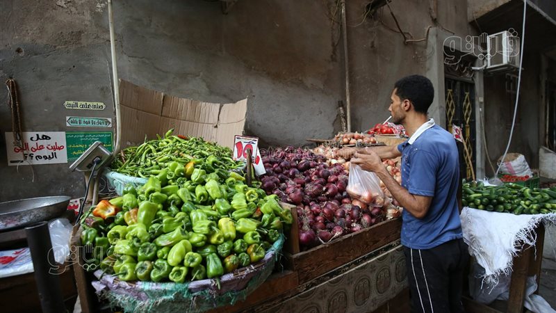 أسعار الخضراوات اليوم،